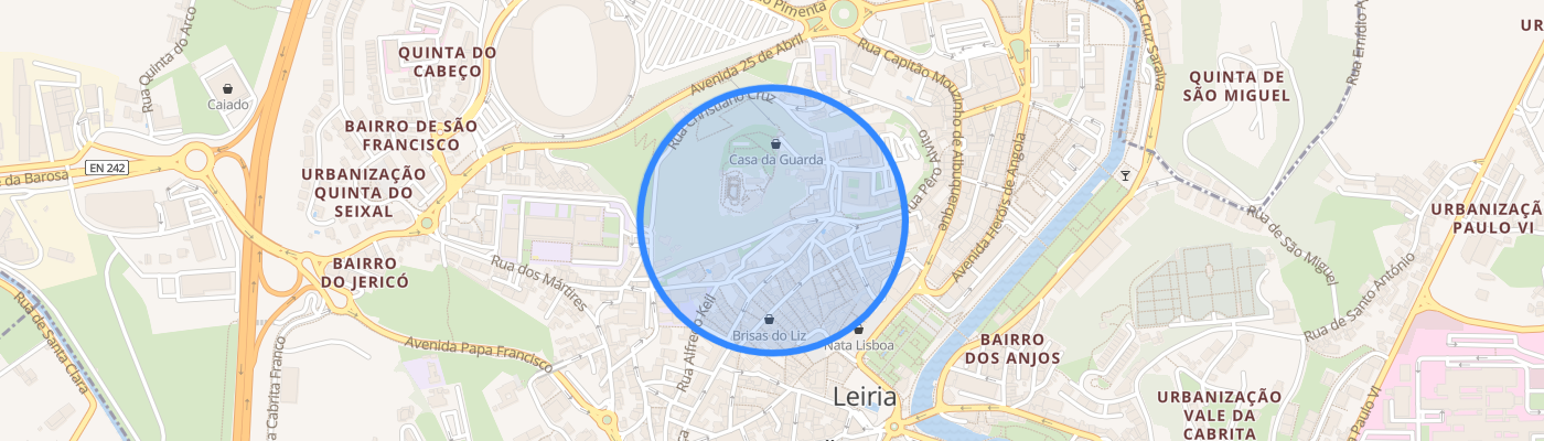 listing-map-picture