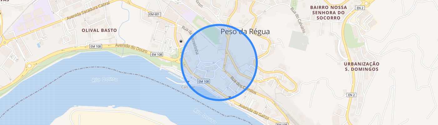 listing-map-picture