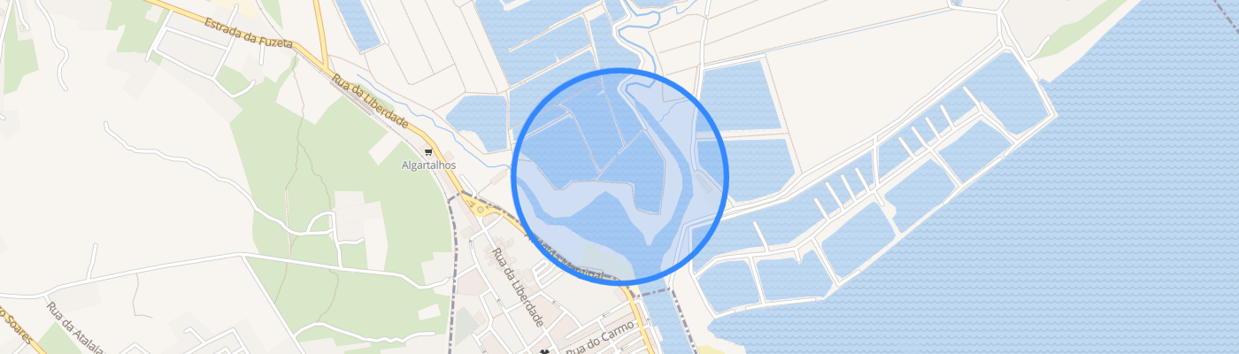 listing-map-picture