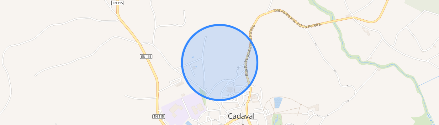 listing-map-picture