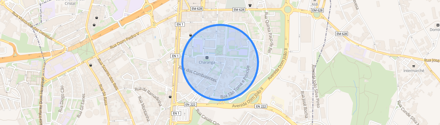listing-map-picture
