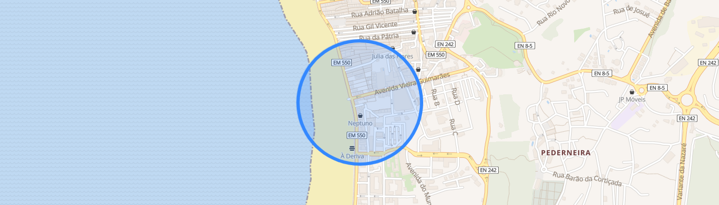 listing-map-picture