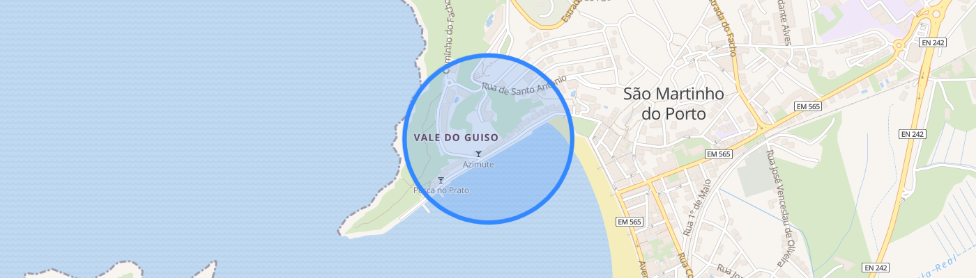 listing-map-picture