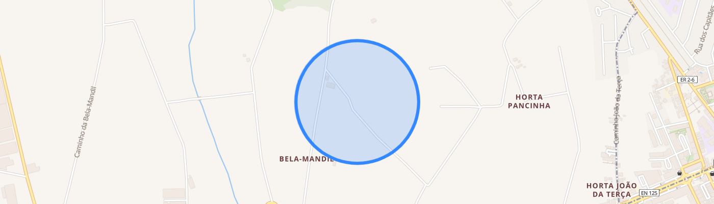 listing-map-picture
