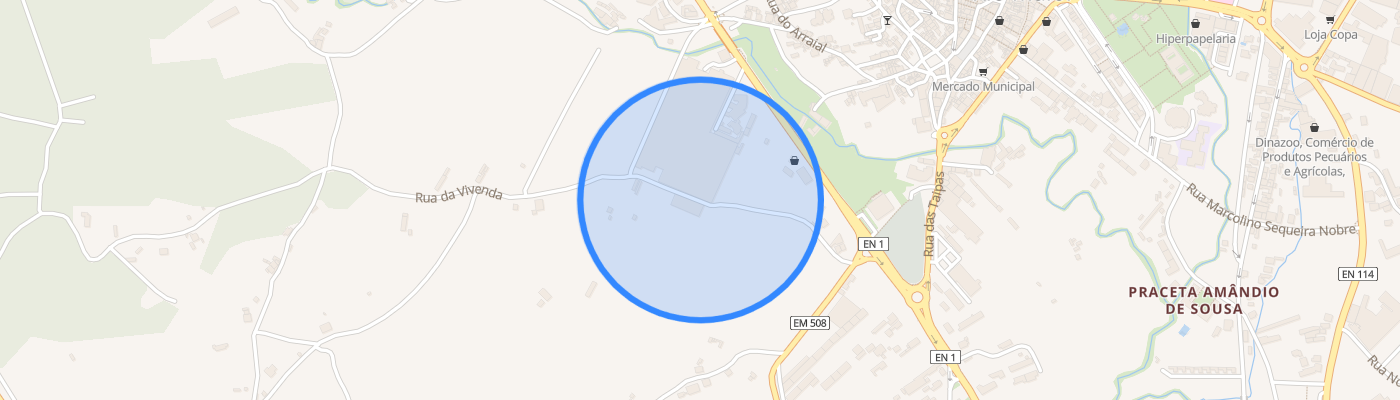 listing-map-picture