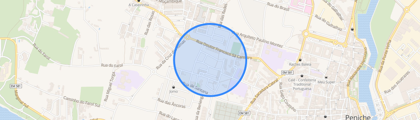 listing-map-picture