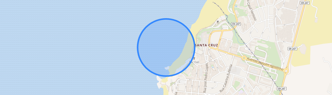 listing-map-picture