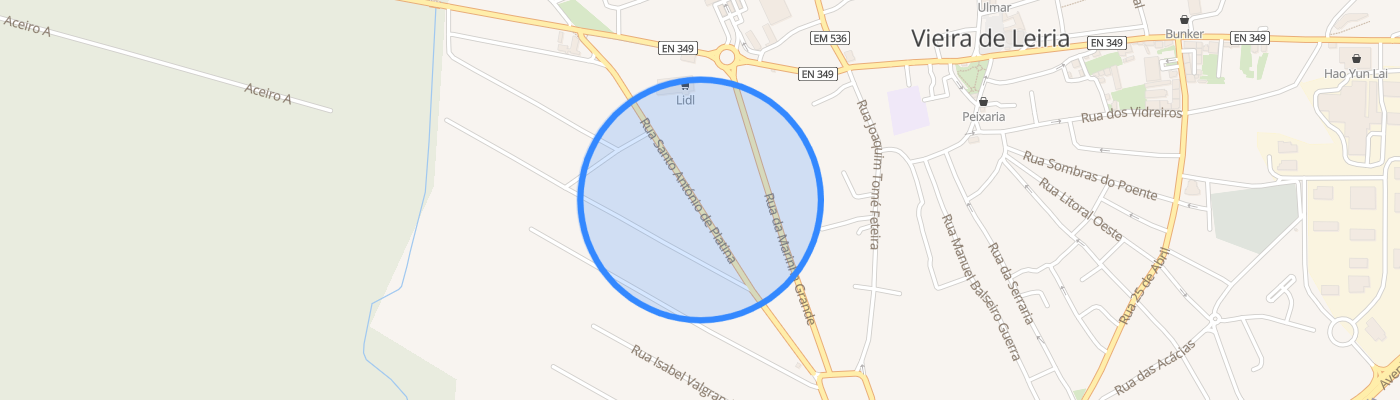 listing-map-picture