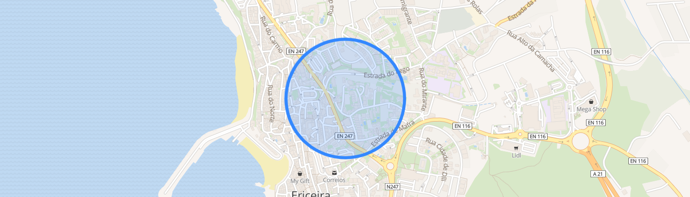 listing-map-picture