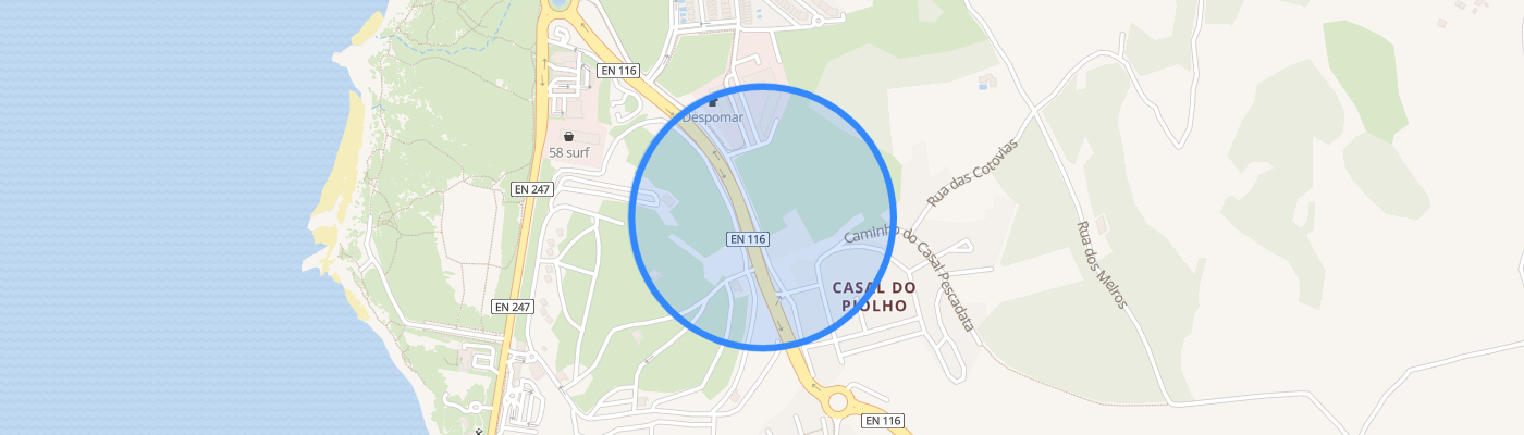 listing-map-picture