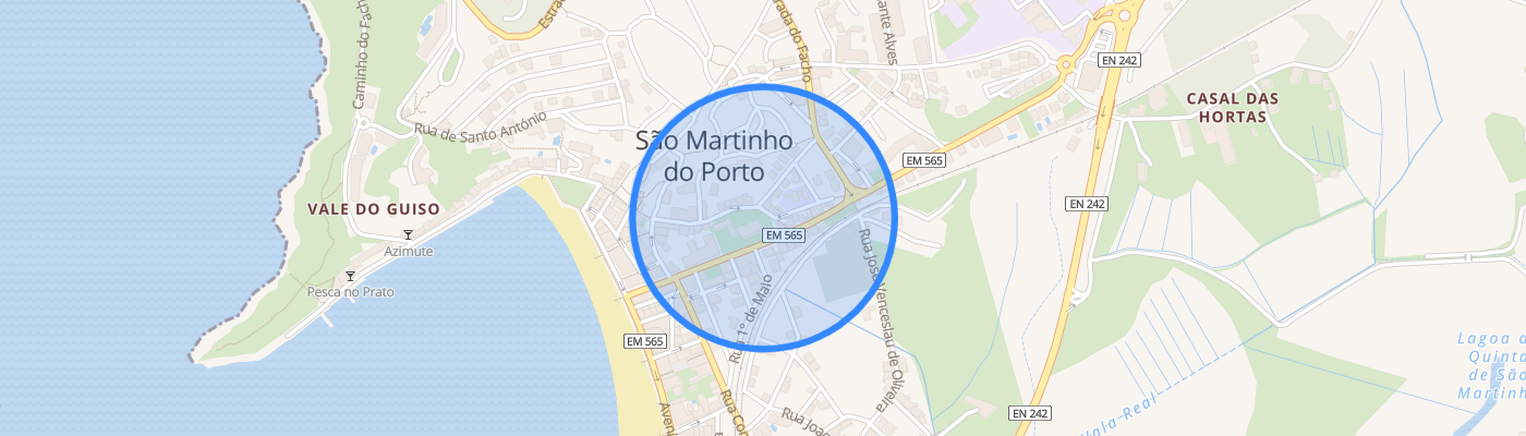 listing-map-picture