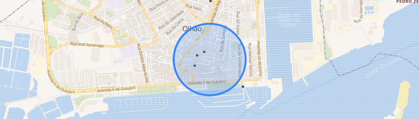 listing-map-picture