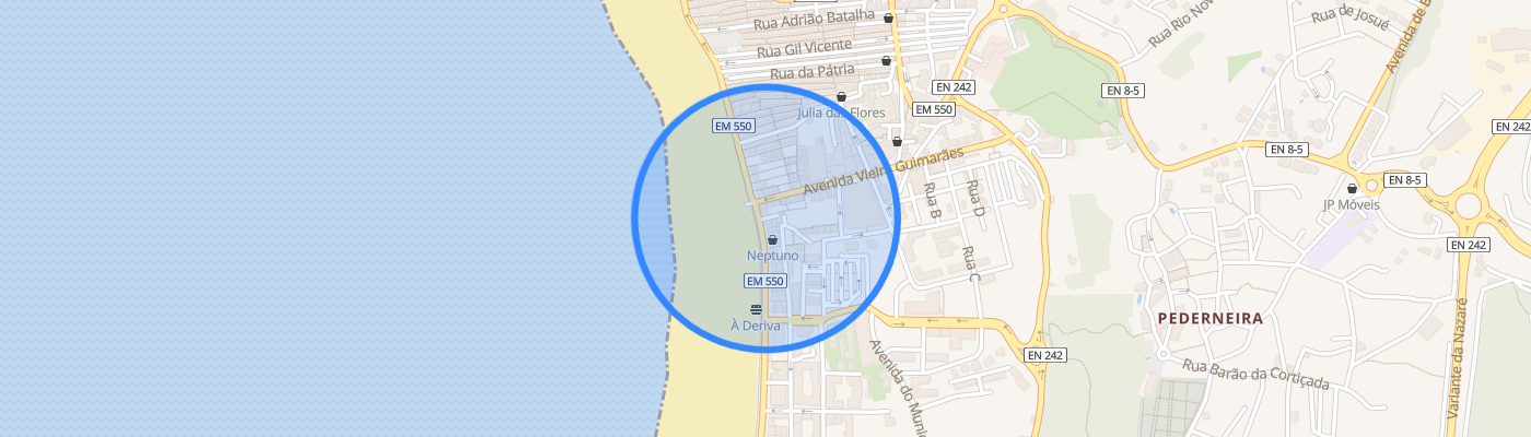 listing-map-picture
