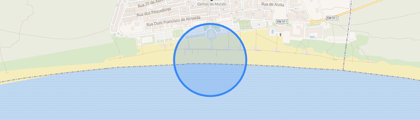 listing-map-picture