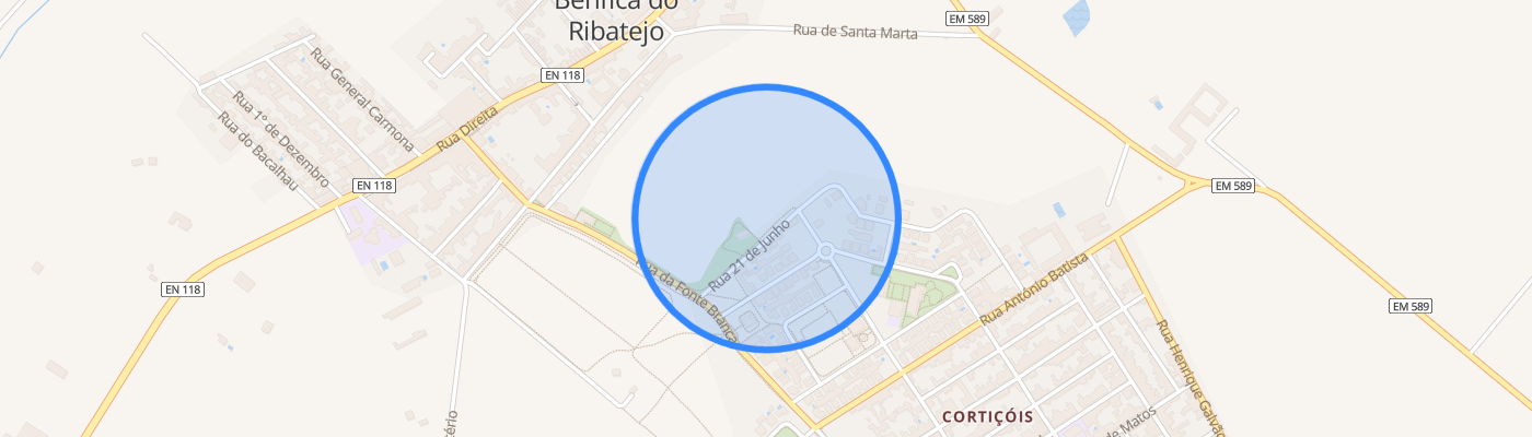 listing-map-picture