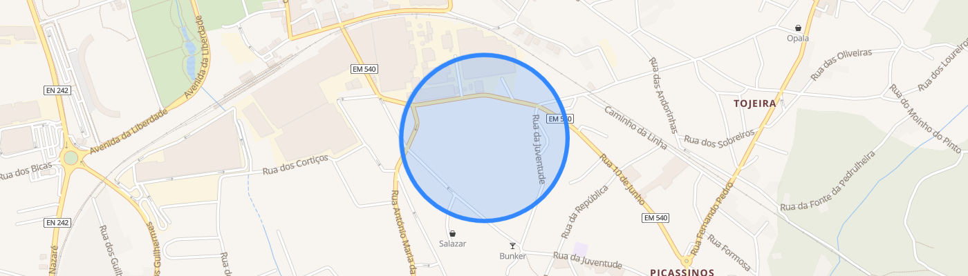 listing-map-picture