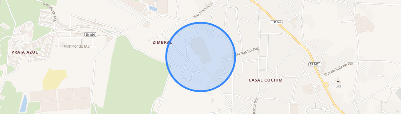 listing-map-picture