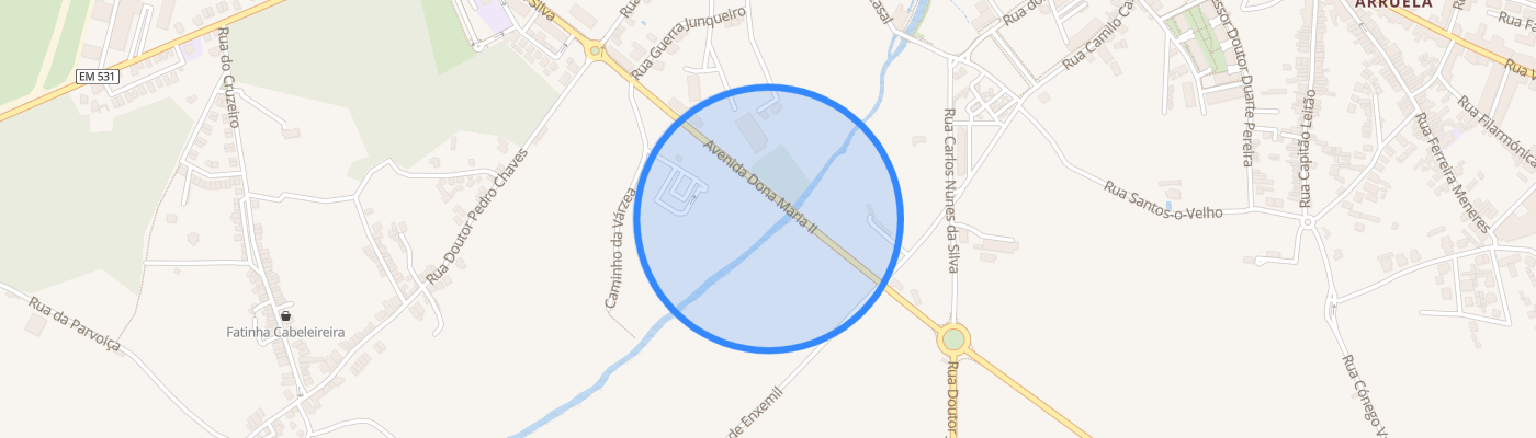 listing-map-picture