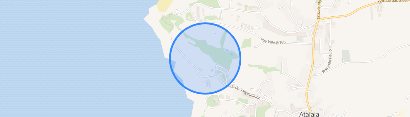 listing-map-picture