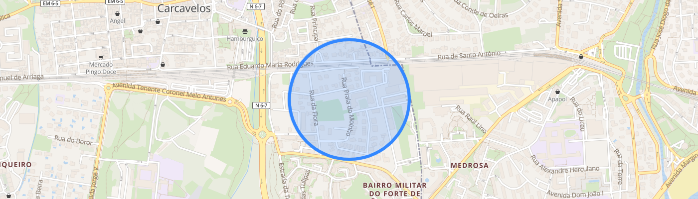 listing-map-picture