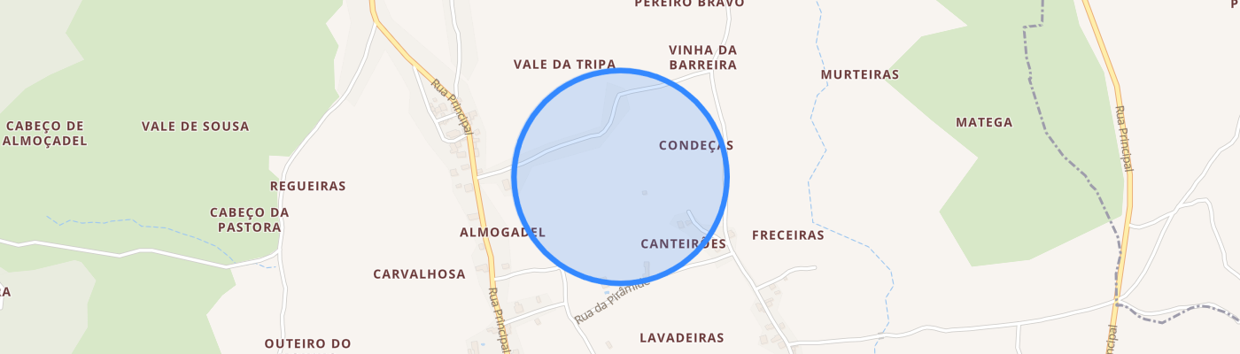 listing-map-picture