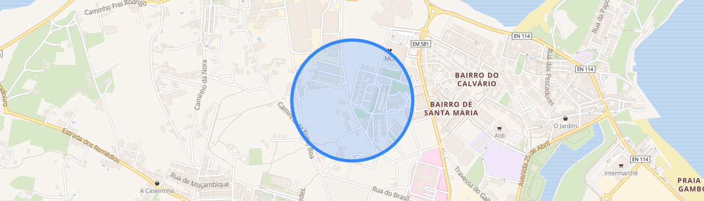 listing-map-picture