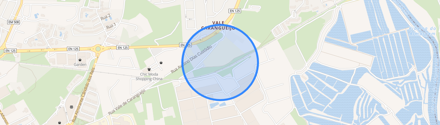 listing-map-picture