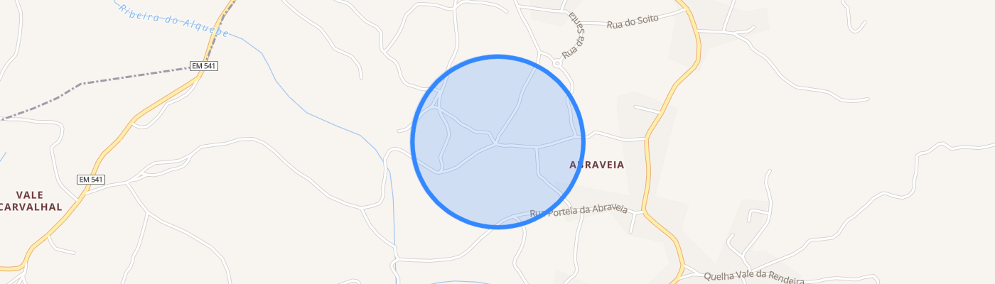 listing-map-picture