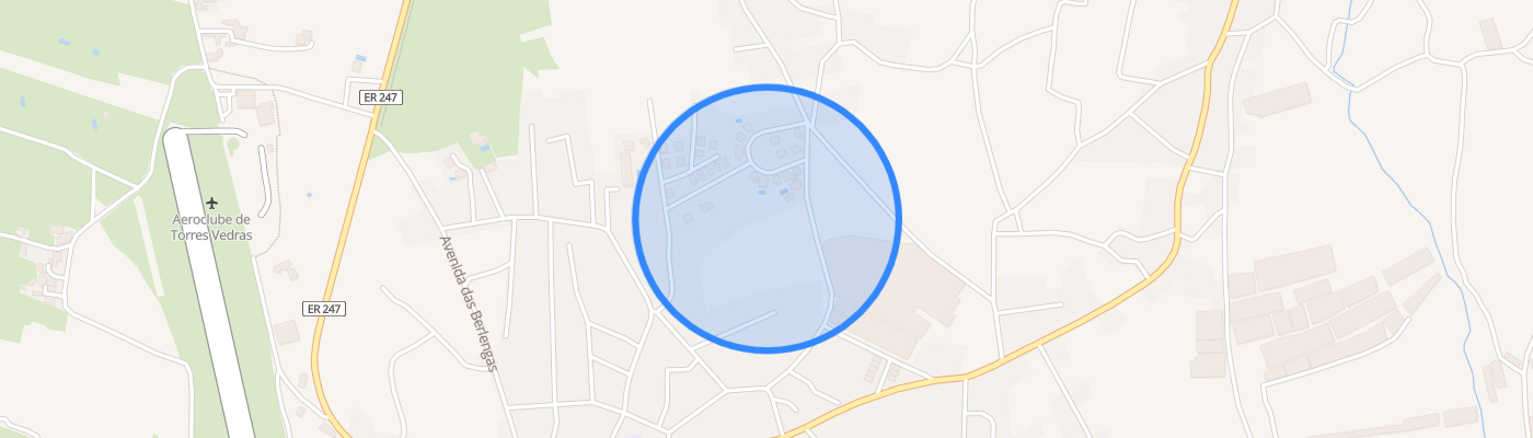 listing-map-picture