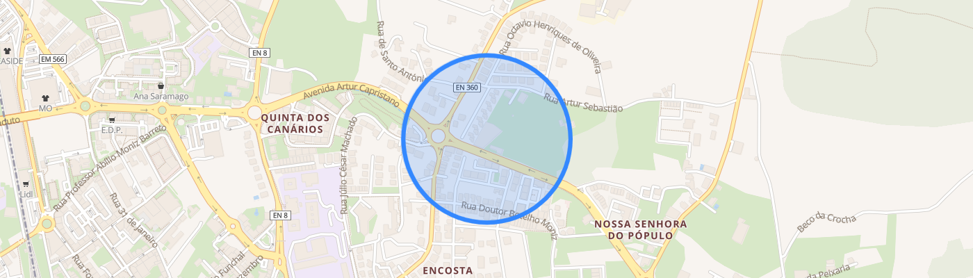 listing-map-picture