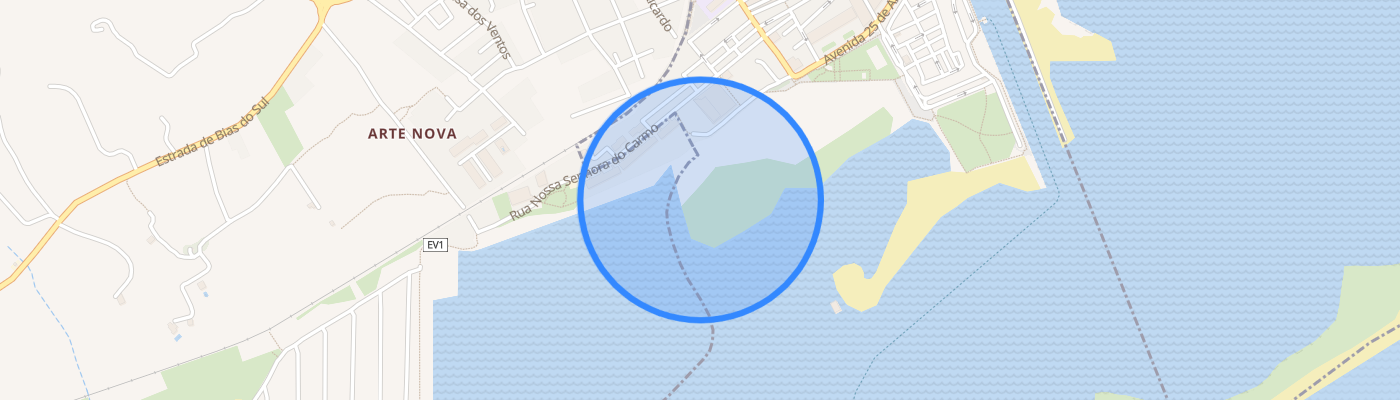 listing-map-picture