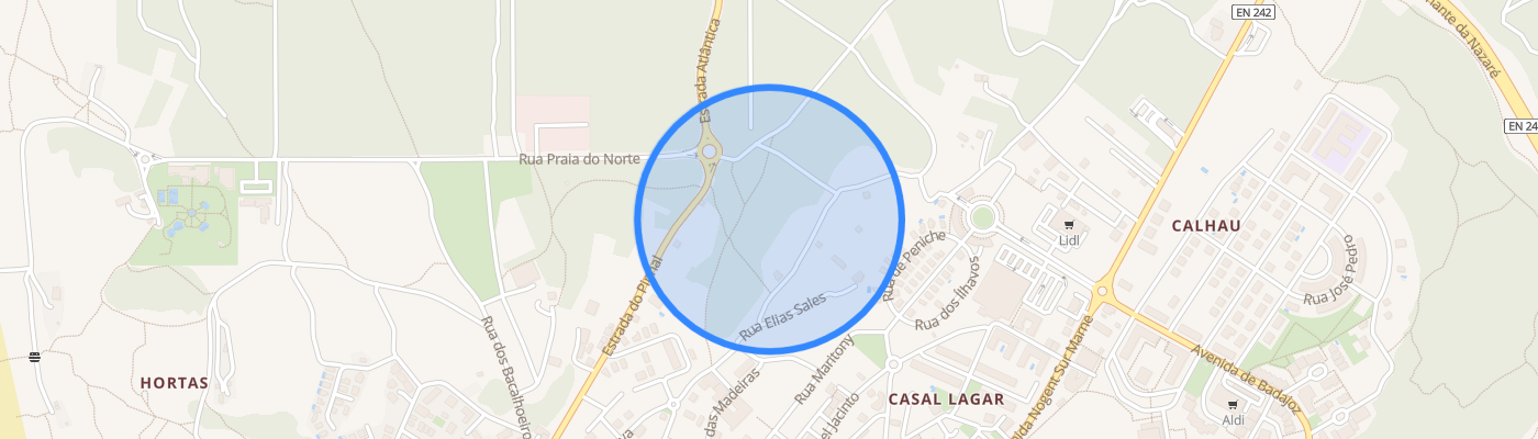 listing-map-picture