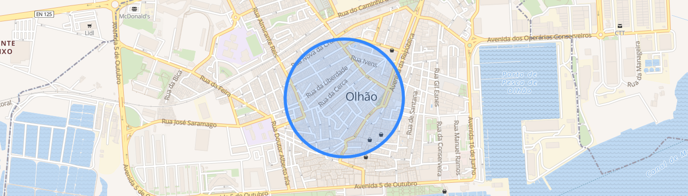 listing-map-picture