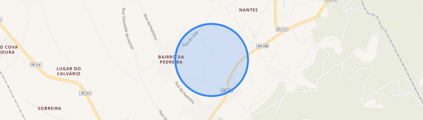 listing-map-picture