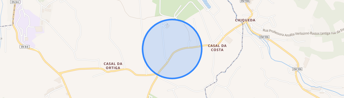 listing-map-picture