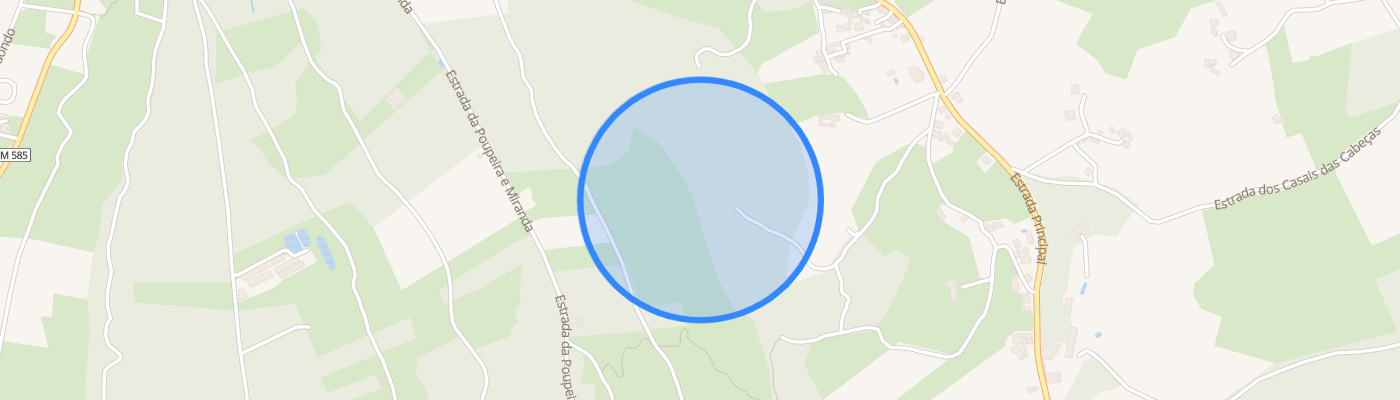 listing-map-picture