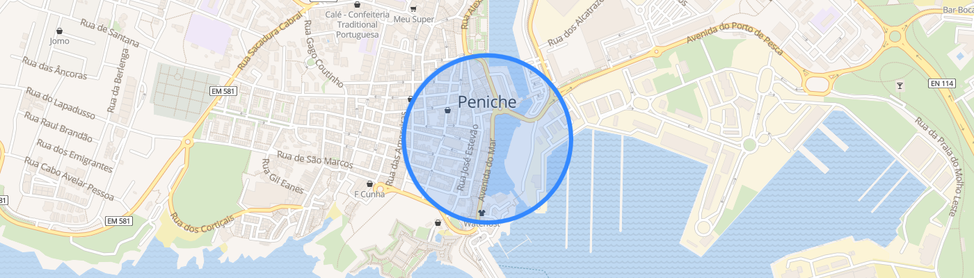 listing-map-picture