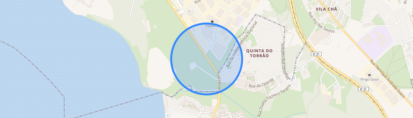 listing-map-picture
