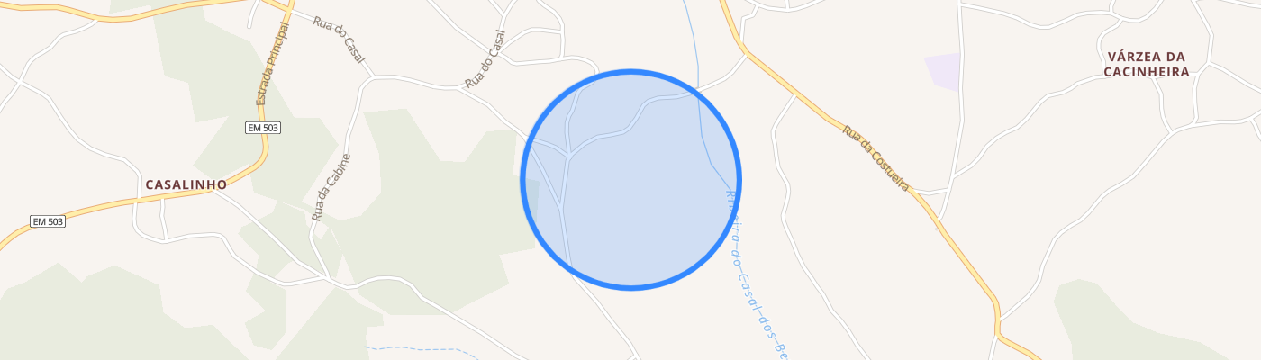 listing-map-picture
