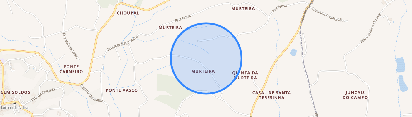 listing-map-picture