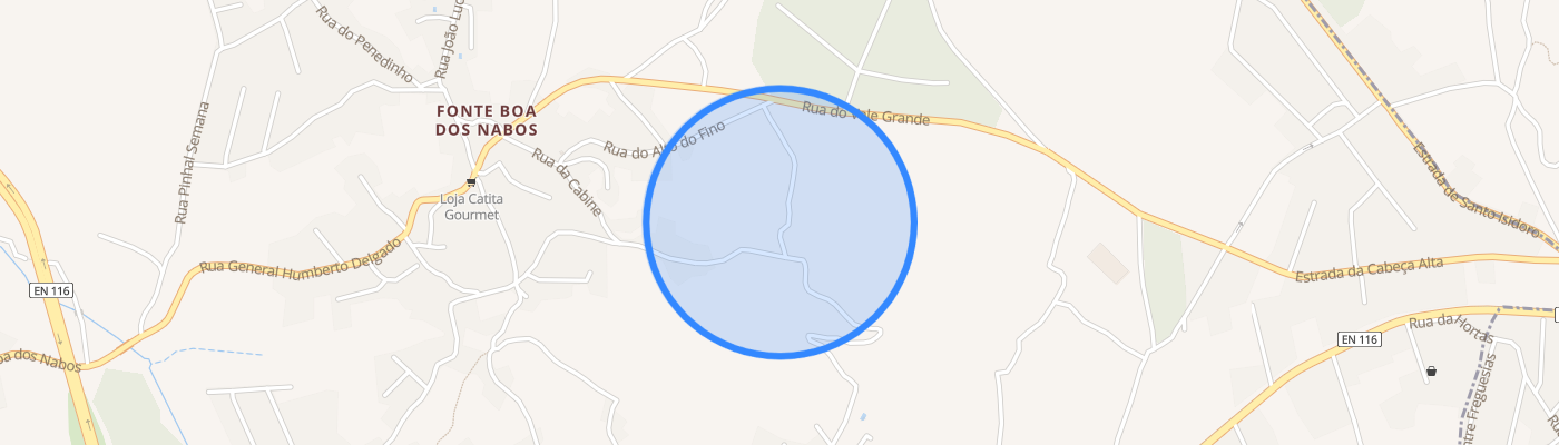 listing-map-picture