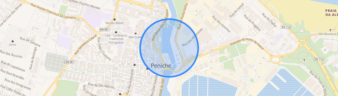 listing-map-picture