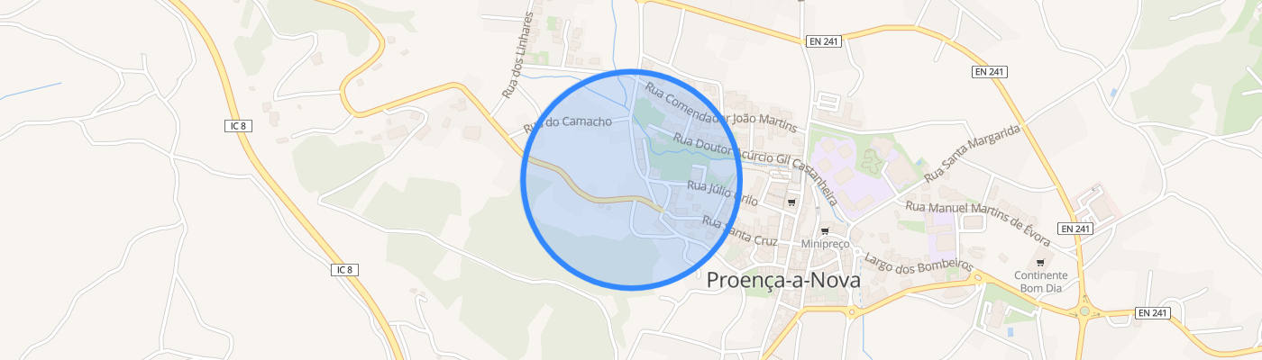 listing-map-picture