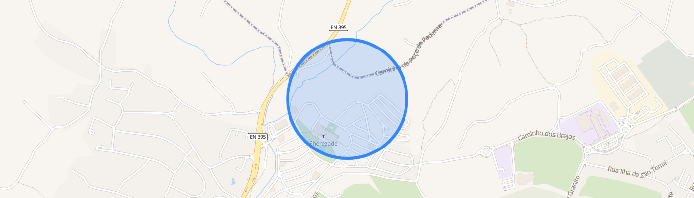 listing-map-picture