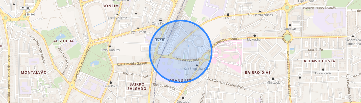 listing-map-picture