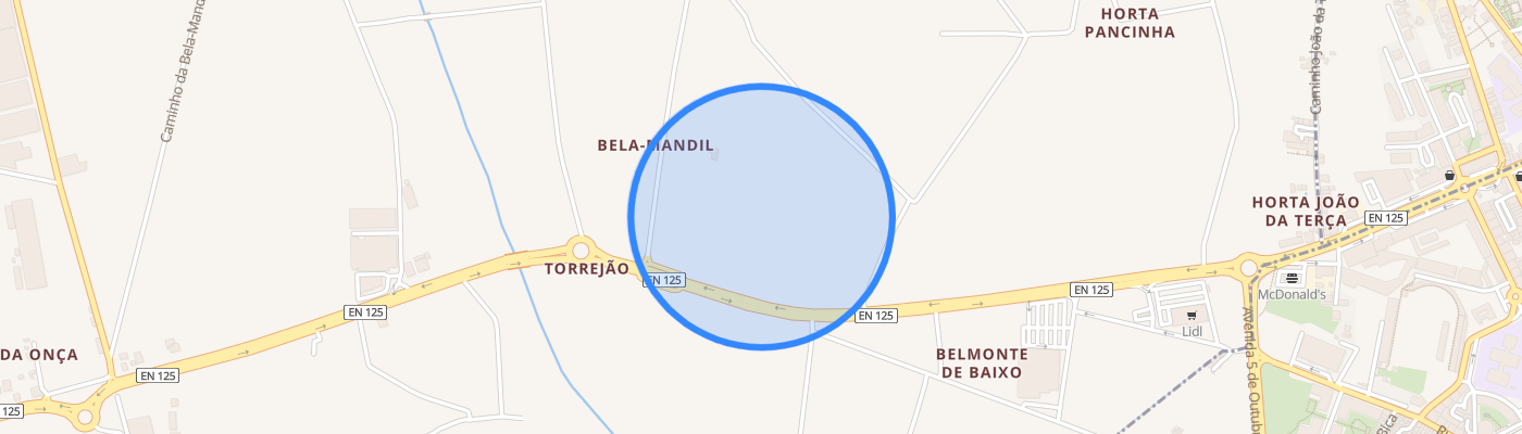 listing-map-picture