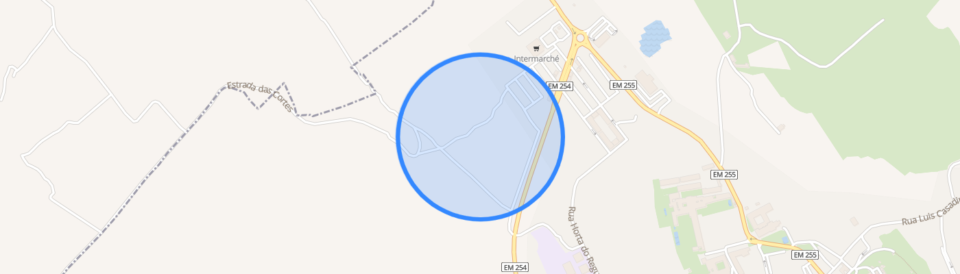 listing-map-picture