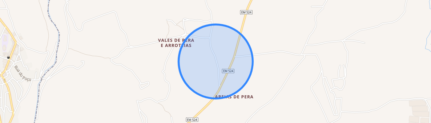 listing-map-picture