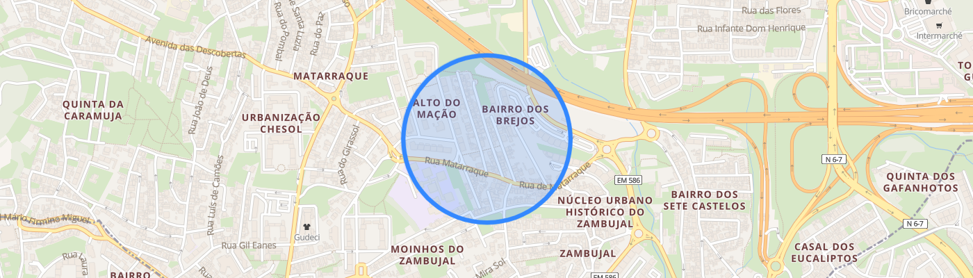 listing-map-picture