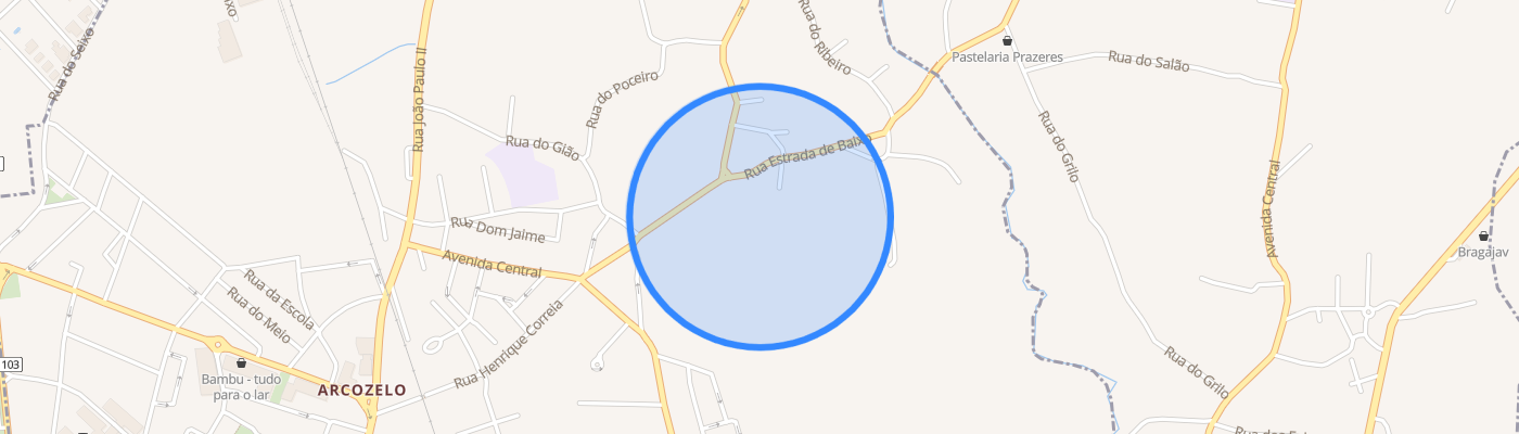 listing-map-picture